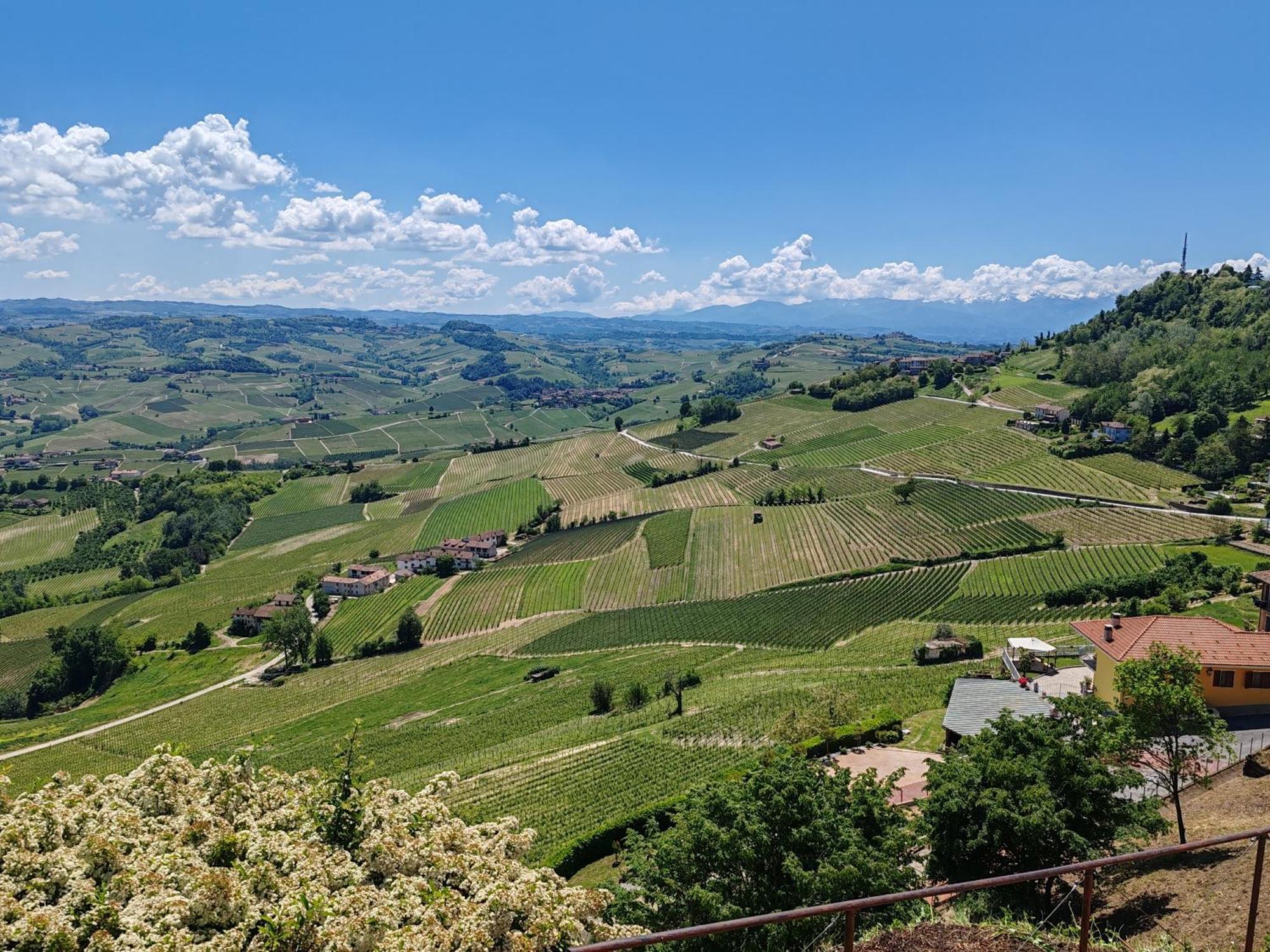 Tour In Langhe Apartment La Morra Ngoại thất bức ảnh